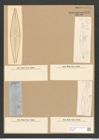 Stauroneis phoenicentrum (Nitzsch.) Ehr. (de-Toni-Nr.: Genus 6, Species 867) Zeichnungen Sammlung Grunow Nr. 1721 (NHMW-BOT-W0368599)